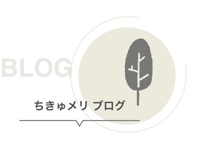 ちきゅメリ ブログ