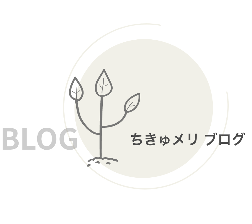ちきゅメリ ブログ